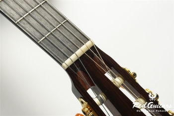 00-Nylon w/FISHMAN Matrix VT Enhance